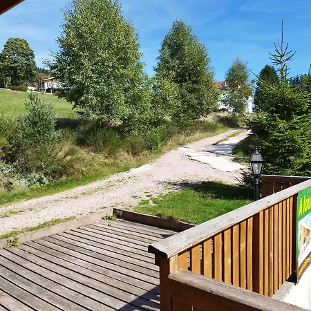 Chalet Grand Valtin : écolo 4 étoiles 14 Personnes Ban-sur-Meurthe-Clefcy
